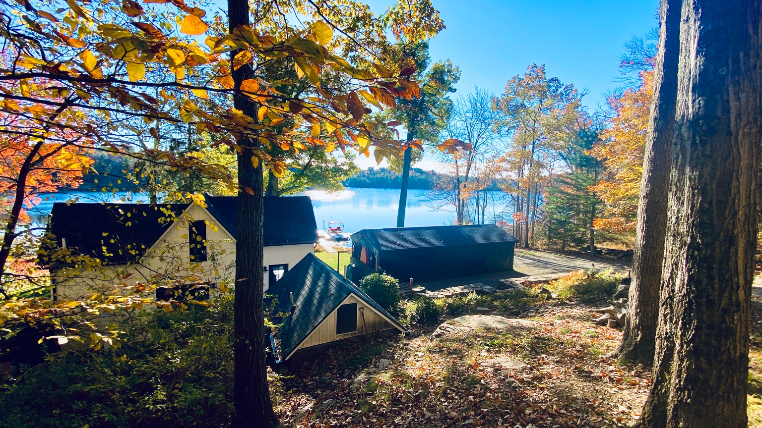 Tom and Greg 35 years ago